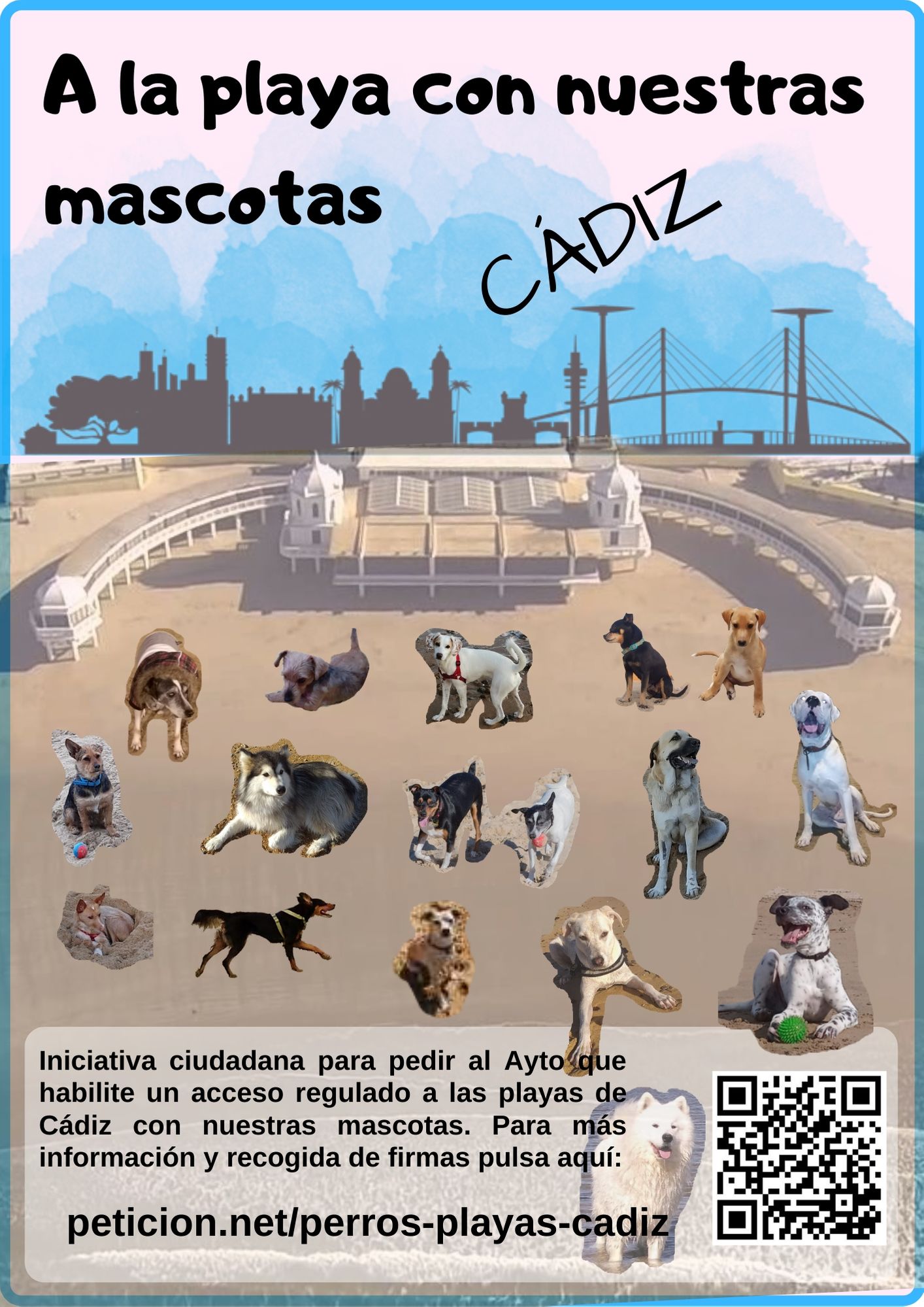 Perros_playas_C&aacute;diz(3).jpg